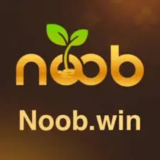 Noobwin app
